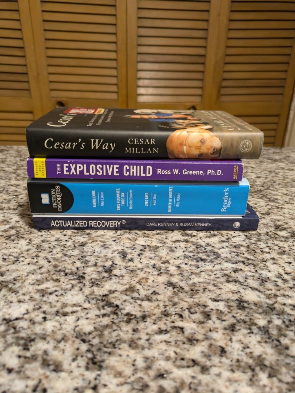 Mixed Book Lot (4) – Dog Training, Parenting Guide, Fiction 4-in-1 + Recovery